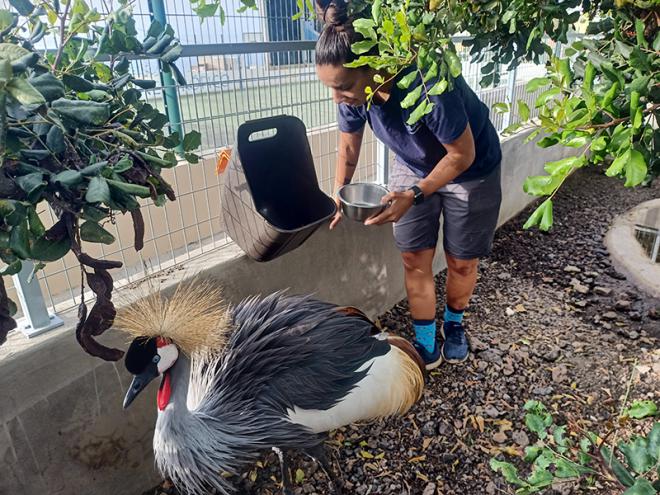 Santa Cruz recoge 465 animales exóticos en domicilios y calles