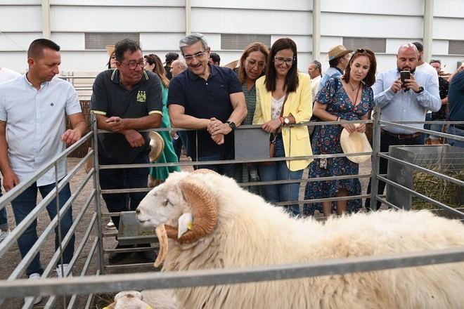 Rodríguez anuncia un plan de rescate de la ganadería de 60 millones para el primer año de legislatura