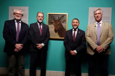 Santa Cruz expone “Cabeza de Venado”, de Velázquez