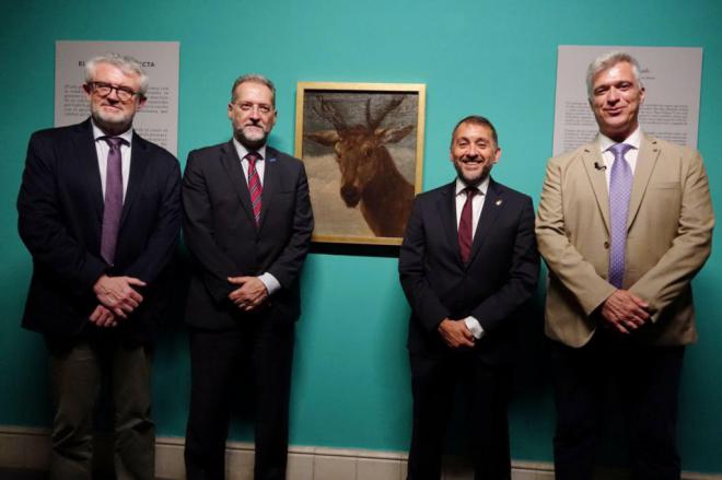 Santa Cruz expone “Cabeza de Venado”, de Velázquez