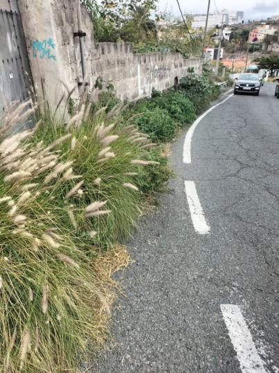 Drago Canarias apoya las peticiones sobre infraestructuras viales de los vecinos de Almatriche