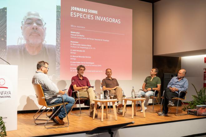 Expertos advierten sobre el impacto de la calcosa en Timanfaya
