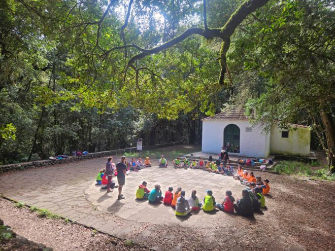 Nueva edición del Campamento de Verano de El Cedro