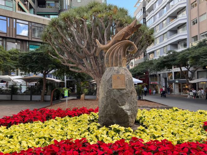 Santa Cruz inicia la campaña de plantación de Flor de Pascua