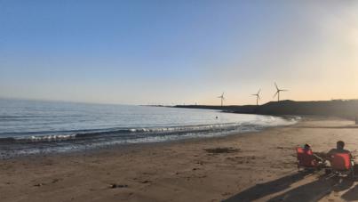 Drago Gran Canaria denuncia vertidos contaminantes en el sureste insular