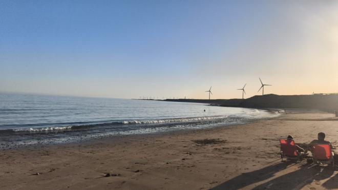 Drago Gran Canaria denuncia vertidos contaminantes en el sureste insular