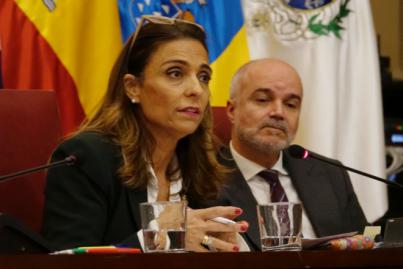 Santa Cruz aprueba la suspensión del calendario regulador del taxi