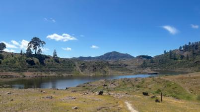 Drago Canarias pide replantear el modelo de gestión hídrica