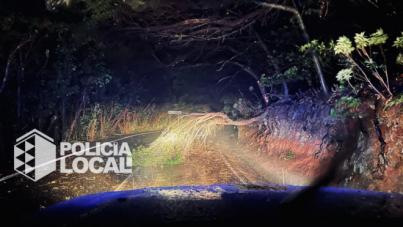 La lluvia y el viento deja un balance de 39 incidencias en la capital tinerfeña