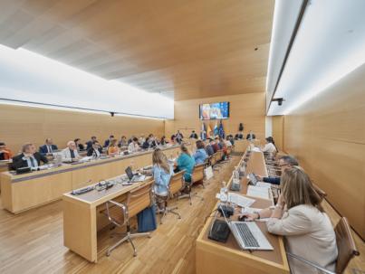 El Cabildo aprueba 32 propuestas para impulsar los sectores estratégicos