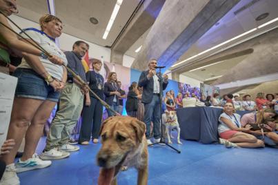 La II Feria Insular de Bienestar Animal cierra con un rotundo éxito