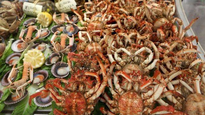 El marisco podría reducir el riesgo de Alzheimer