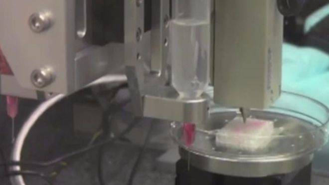 Una impresora 3D crea músculos y huesos aptos para humanos