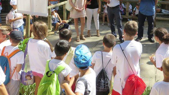 Quienes trabajen con niños ya pueden acreditar que no son delincuentes sexuales