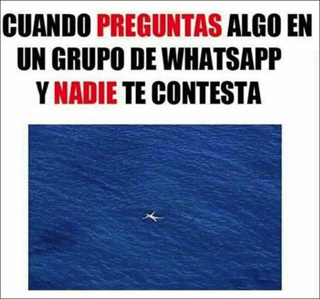 ¡Eo! ¿Hay alguien ahí?