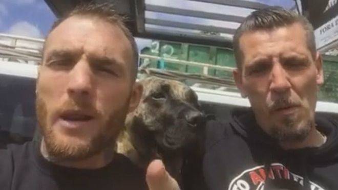 Un grupo de boxeadores pelearán este año por salvar al Toro de la Vega