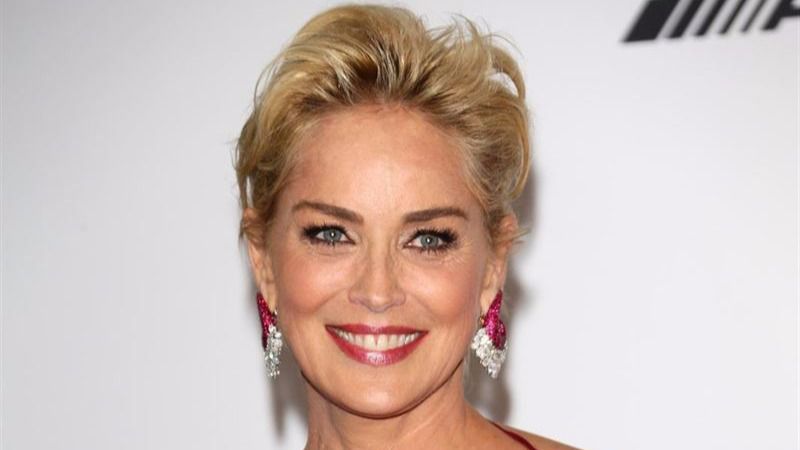 Sharon Stone entra en el mundo de superhéroes de Marvel