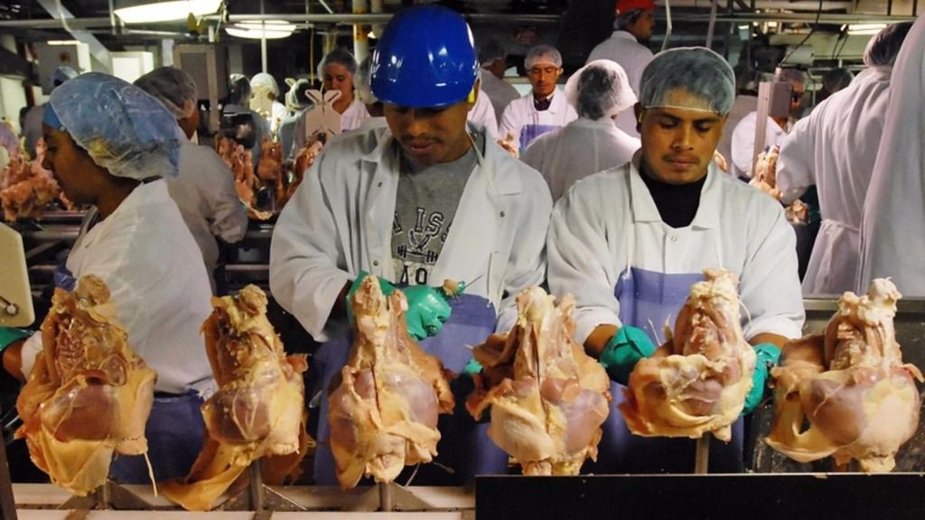 Obligados a usar pañales para mantener la producción industrial