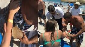 Se trata de un tiburón gata de más de 60 centímetros