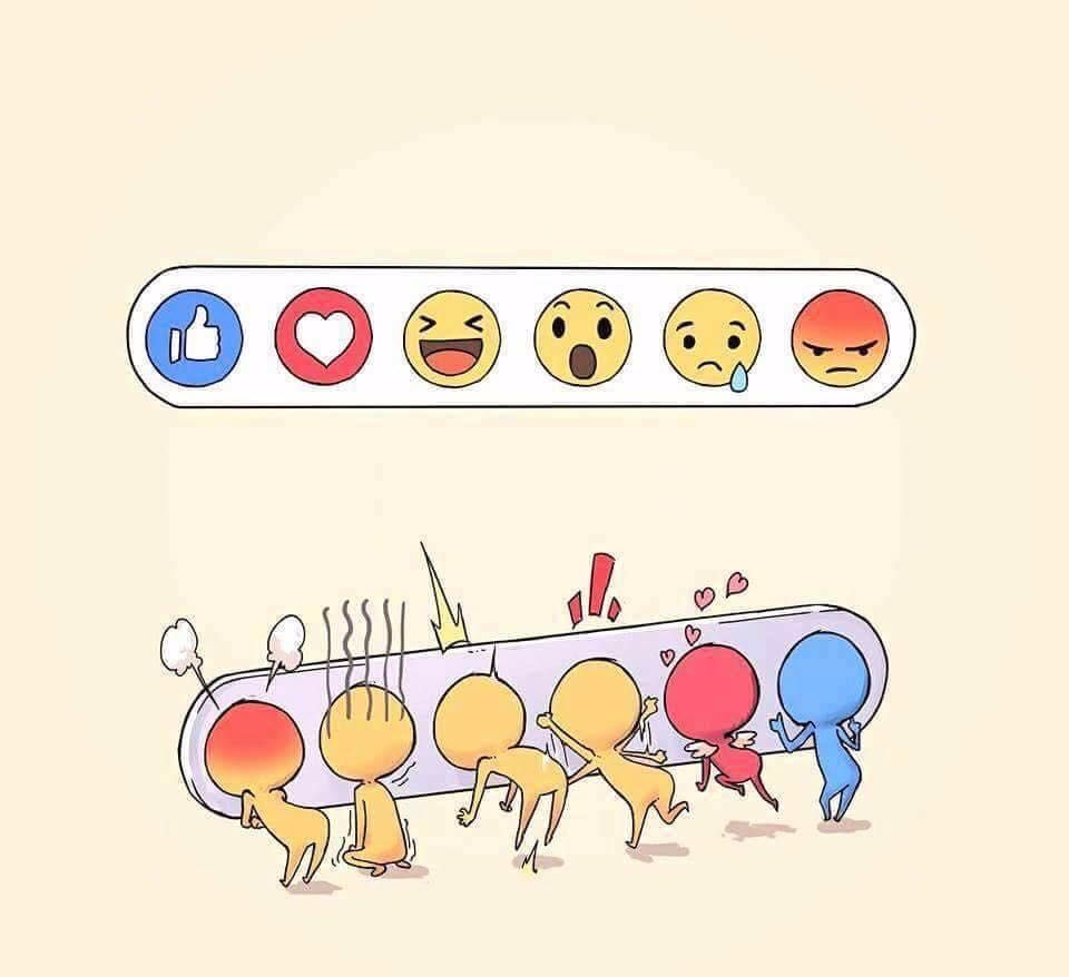 Lo que nunca habíamos visto