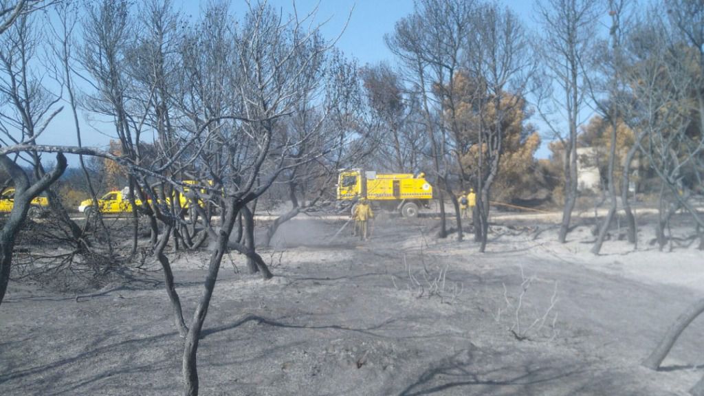 El fuego ha devastado totalmente la zona