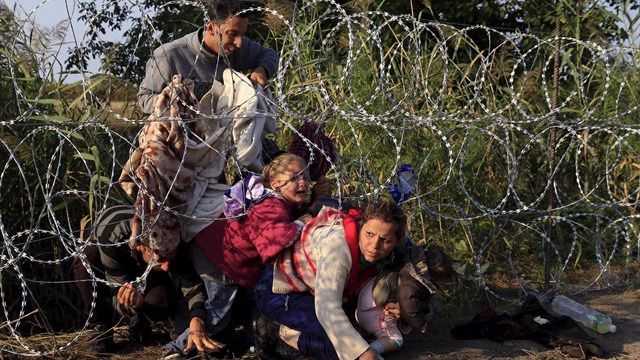 Un eurodiputado propone cabezas de cerdo para disuadir a los inmigrantes