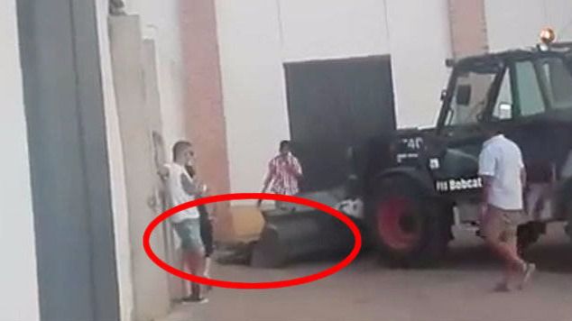 Una vaquilla es rematada con una pala en Cuenca