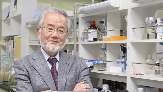Yoshinori Ohsumi, Nobel de Medicina 2016