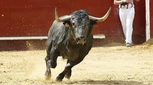 El TC anula la prohibición de los toros en Cataluña
