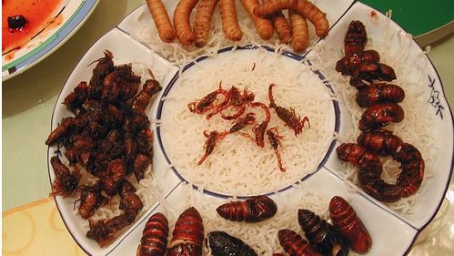 Los insectos aportan tanto hierro a la dieta como la carne de ternera