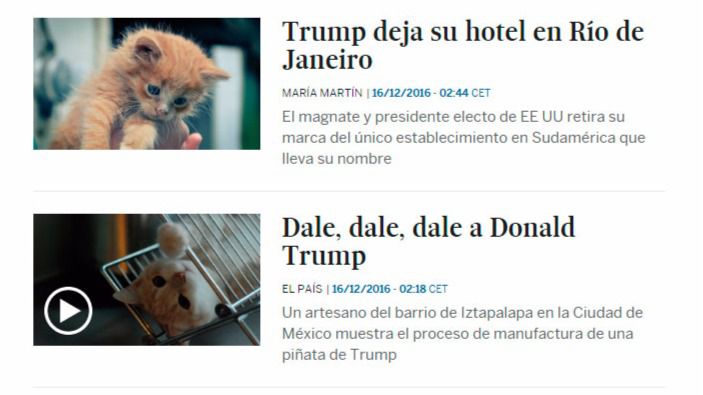 Una aplicación cambia la cara de Trump por gatos en pantalla