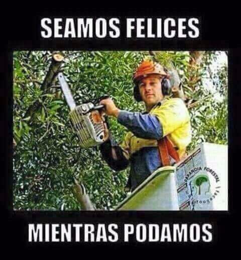 En busca de la felicidad