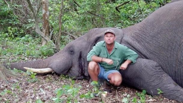 Muere un cazador aplastado por un elefante al que había disparado