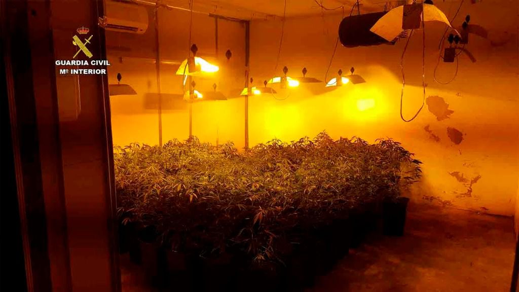 'Regaba' las plantas con luz robada a Gesa