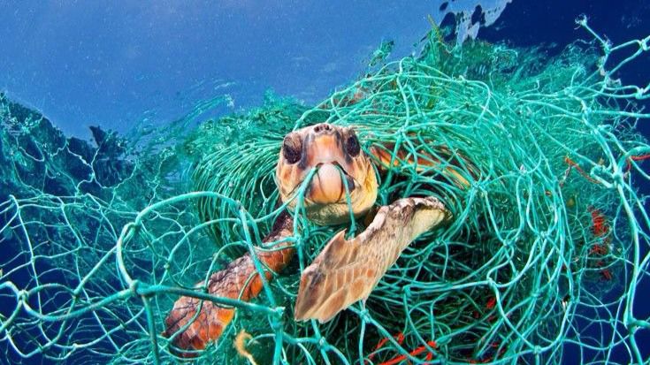 Alertan de la muerte inminente del Mediterráneo