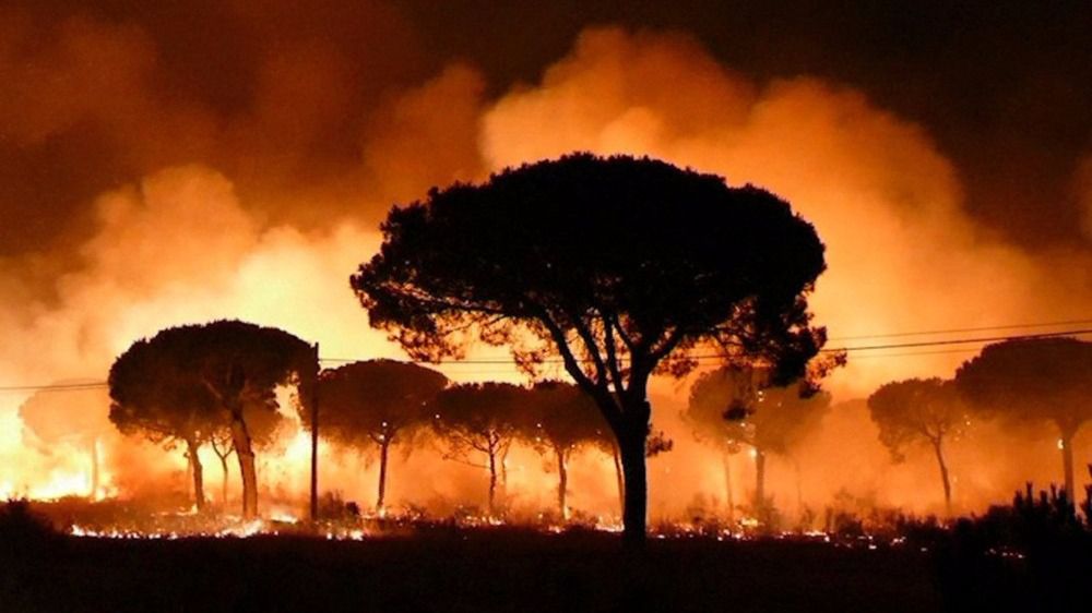 Perimetrados dos de los tres focos del incendio que amenaza Doñana