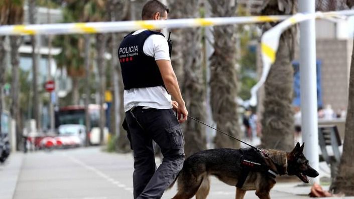 Los Mossos no descartan ninguna hipótesis