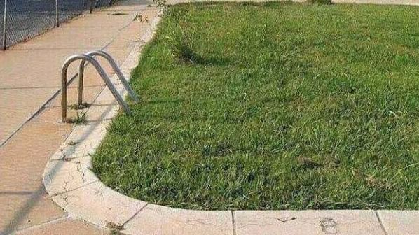 Las piscinas veganas, la última moda en vida sana