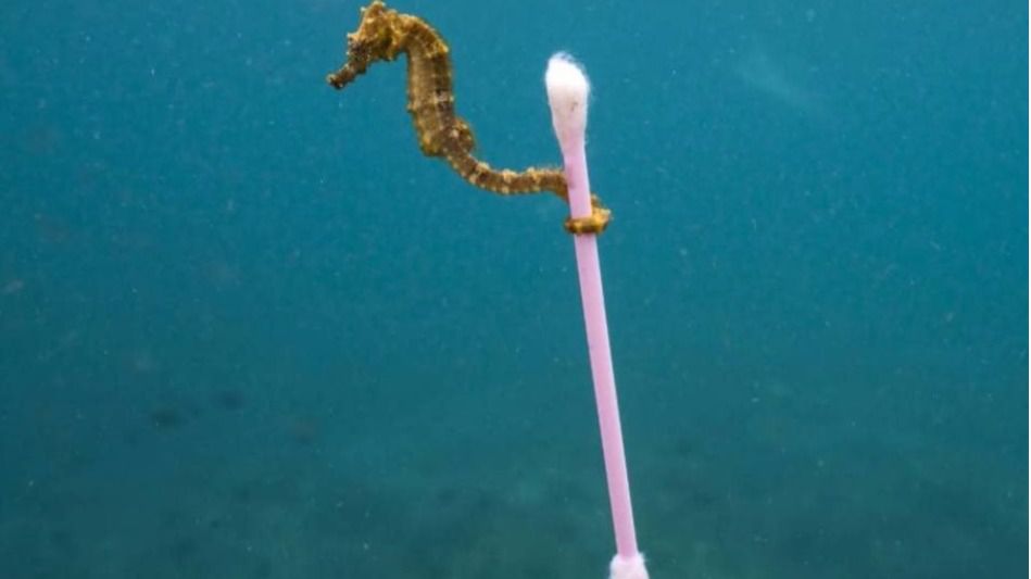 Una foto muestra la contaminación que asola los océanos
