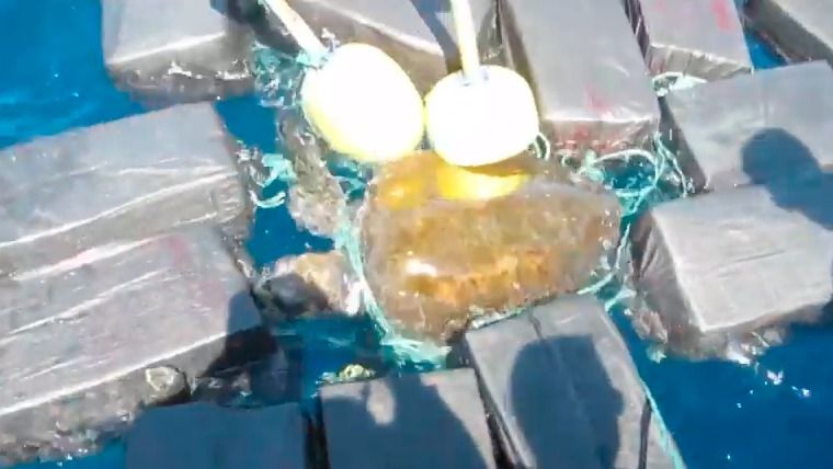 Rescatan una tortuga atrapada en una red con 800 kilos de cocaína