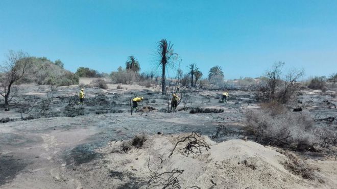 Gran Canaria alerta de que el riesgo de incendios ya ha comenzado
