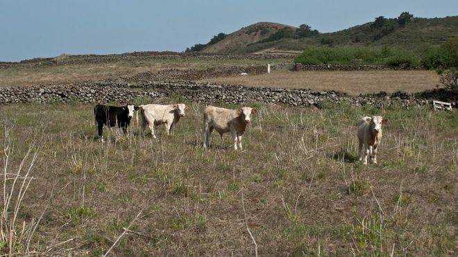 Aprobado el nuevo REA