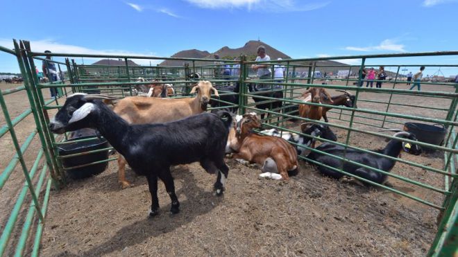 NC comparte con agricultores y ganaderos 'los efectos negativos en terreno agrario de la ley del suelo'