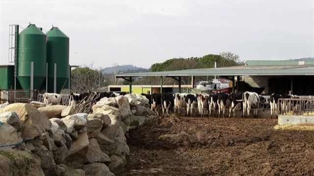 El Gobierno reduce el IRPF a productores agrícolas y ganaderos