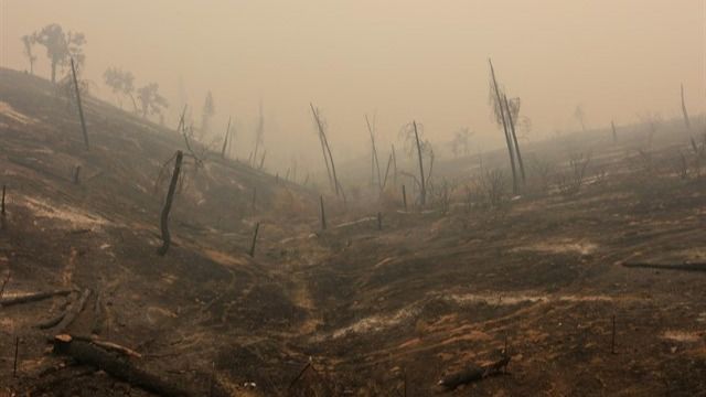 Ya son seis los muertos por el incendio en el norte de California