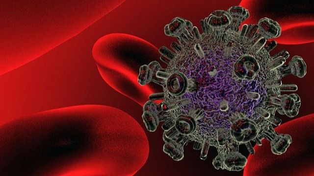 Investigadores españoles consiguen eliminar el VIH con células madre