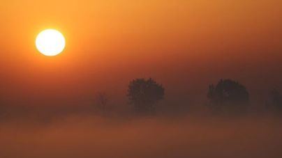 El cambio climático podría suponer una amenaza para la fertilidad masculina