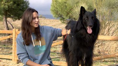 Humanos, perros y gatos comparten microbios