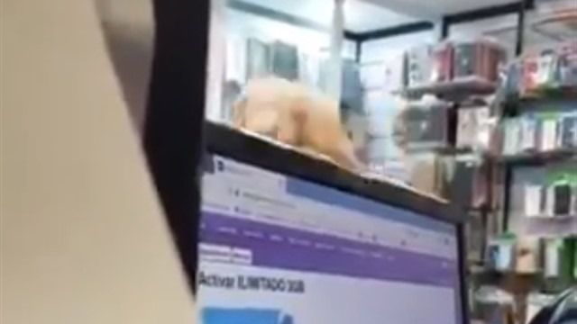 Comentarios racistas en Madrid: 'No eres español. Vete a tu país de mierda'