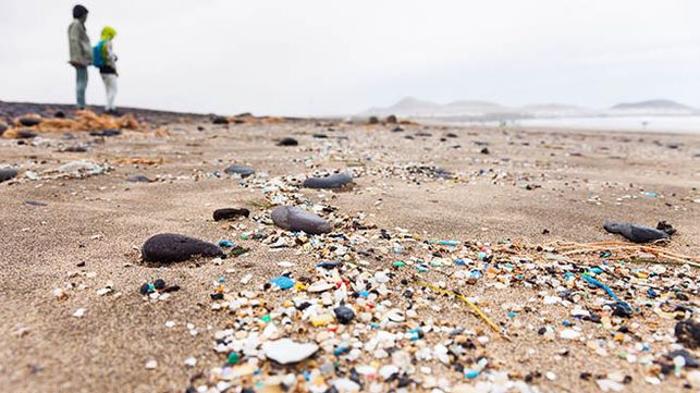 'Microplástico', palabra del año 2018 para la Fundéu BBVA